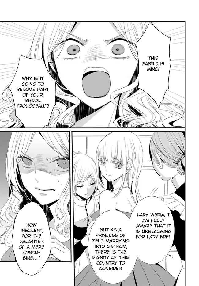 The Black Wolf King and the Silver Sacrificial Princess Chapter 1 Page 28
